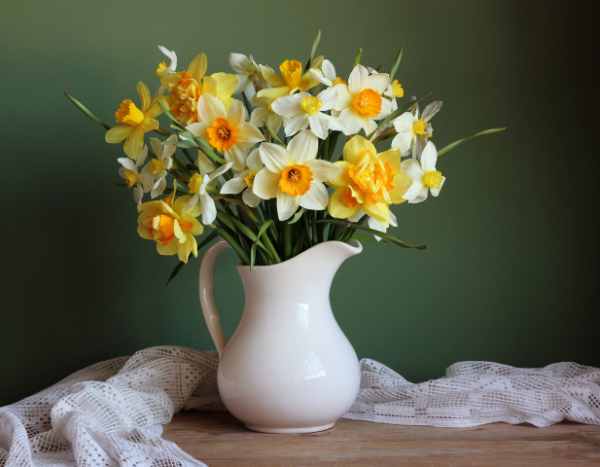 5 dicas para criar belos ramos de flores de narcisos