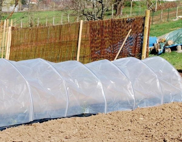 Como instalar um túnel de cultivo na horta?
