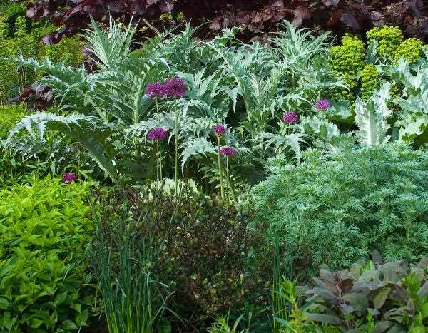 A poda das plantas perenes