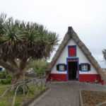 Visitei... a Madeira, a ilha das flores