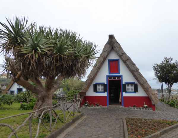 Visitei... a Madeira, a ilha das flores