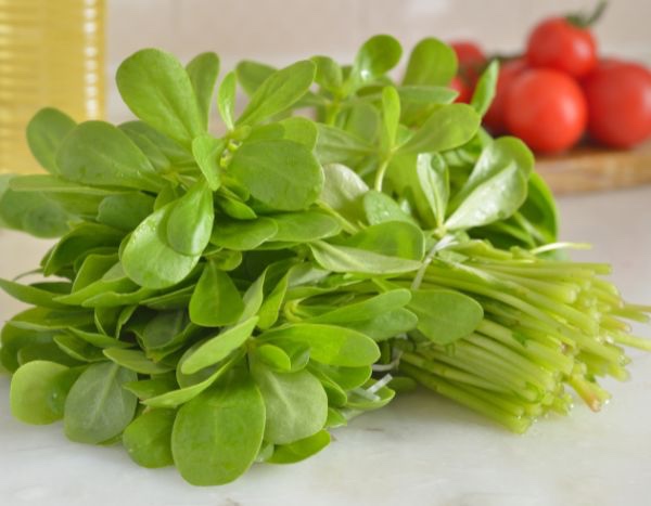 Como utilizar a beldroega na cozinha?