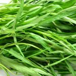 Cultivo do kangkong