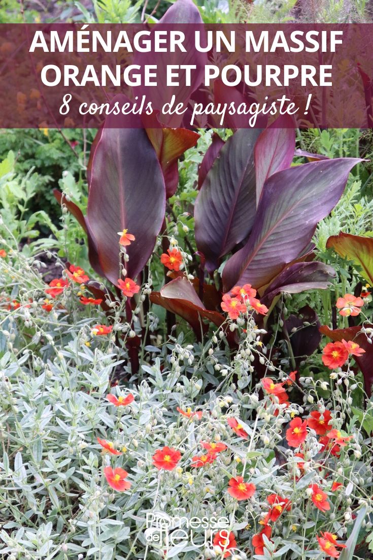 Composição laranja e púrpura para o jardim