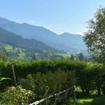 6 arbustos persistentes para cultivar num jardim de montanha