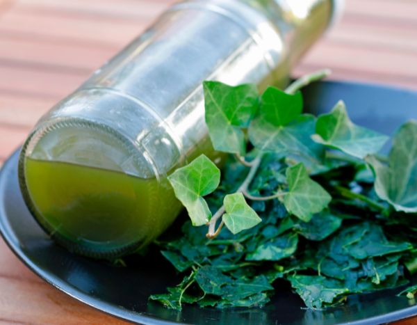 Como fazer detergente ecológico e natural para a roupa com hera?