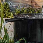 Como criar um jardim de chuva ou um jardim de infiltração?