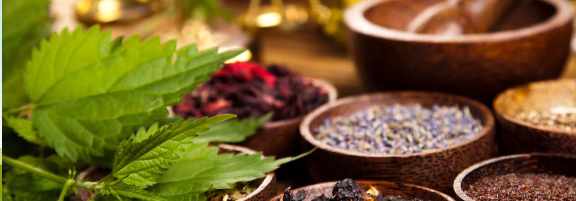 10 plantas medicinais para combater as dores de cabeça