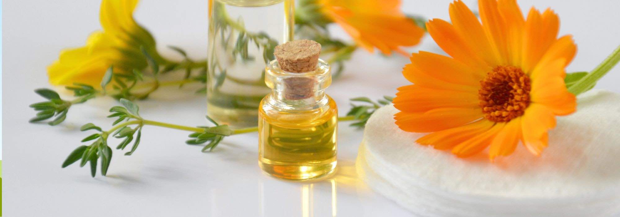 7 plantas medicinais para ter uma pele bonita