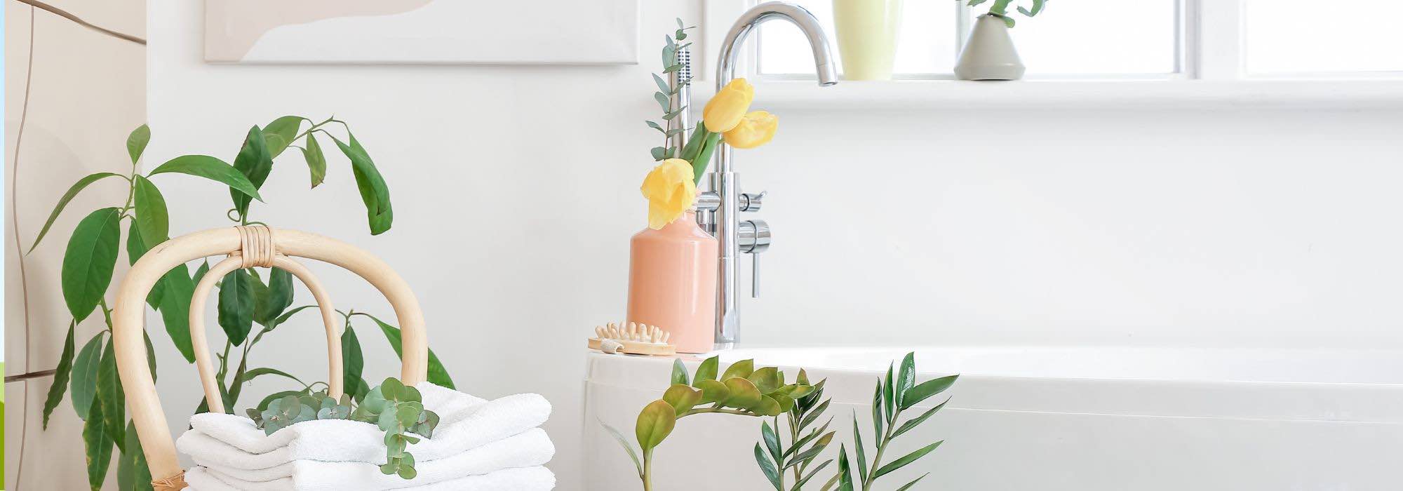 11 plantas de interior perfeitas para a casa de banho