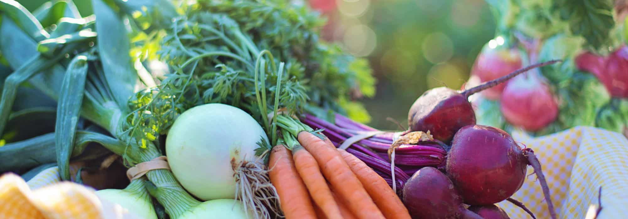 Legumes ornamentais: beleza e sabor na horta