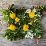 Como criar um quadro vegetal com crianças?