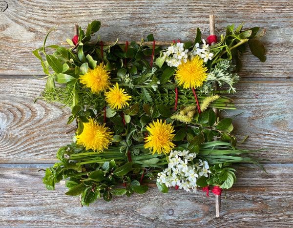 Como criar um quadro vegetal com crianças?