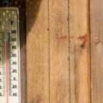 Guia de sobrevivência para o jardim no verão