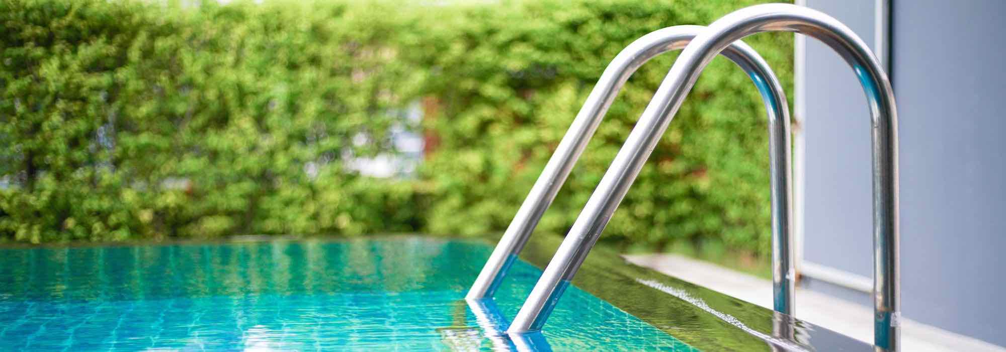 Que sebes opacas escolher para proteger a piscina de olhares indiscretos?