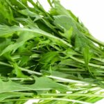 Como cultivar Mizuna com sucesso?