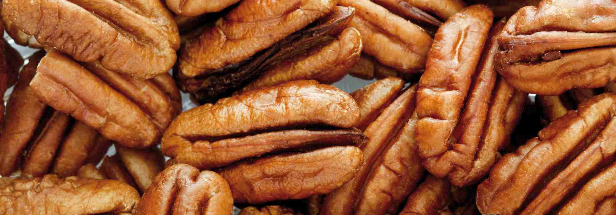 Nogueira-pecã: as melhores variedades