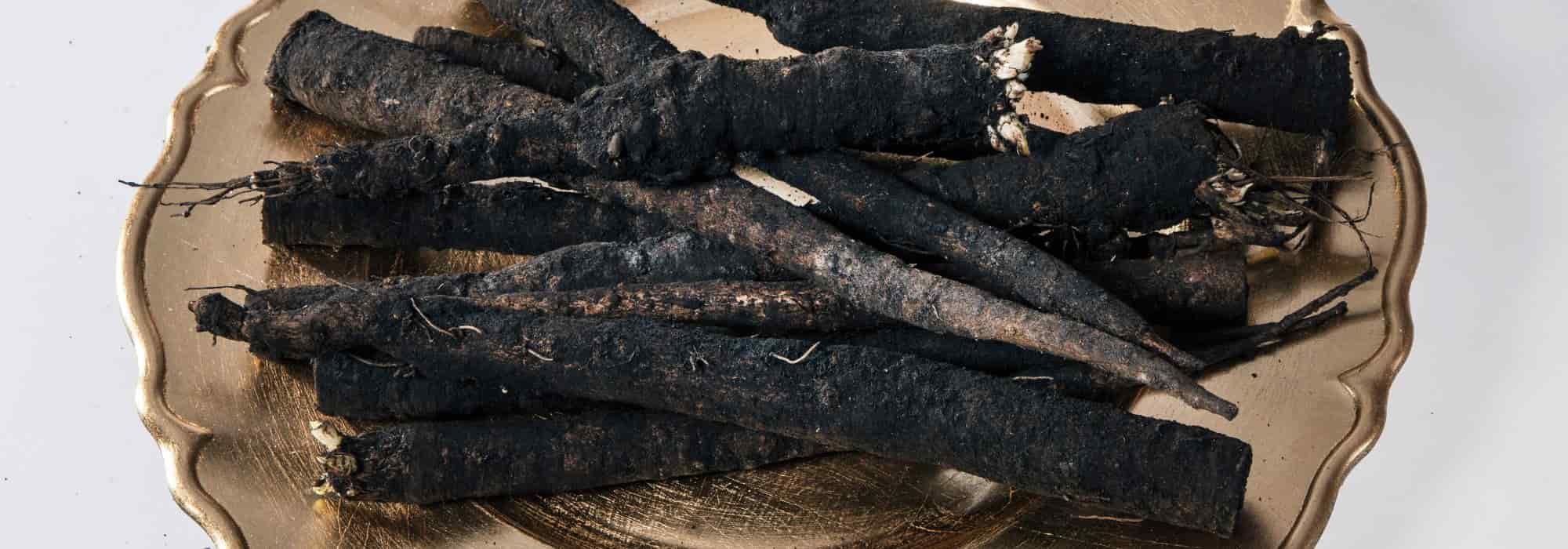 Descubra a escorcioneira, um legume para cultivar na horta