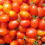Tomates F1: o que são, afinal?