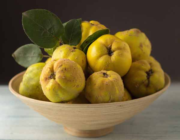 Como colher e conservar marmelos?