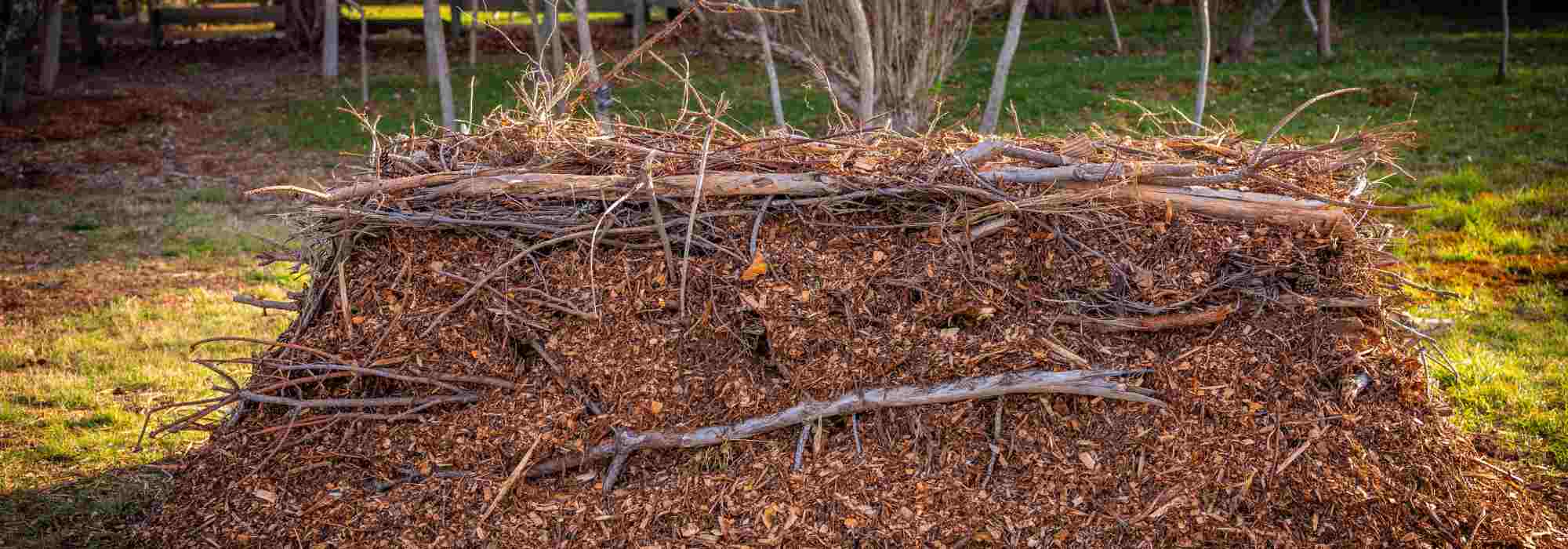 Cultivo em canteiros elevados: porquê e como praticá-lo?