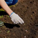 Sementeira em plena terra: ferramentas, acessórios úteis e práticos