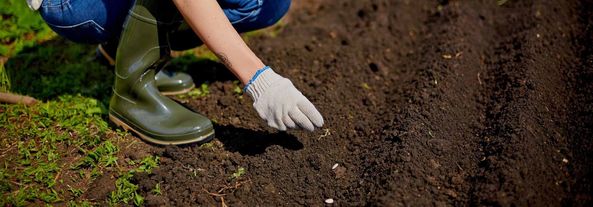 Sementeira em plena terra: ferramentas, acessórios úteis e práticos