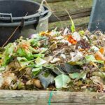 Ativadores naturais de composto: quando e como utilizá-los?