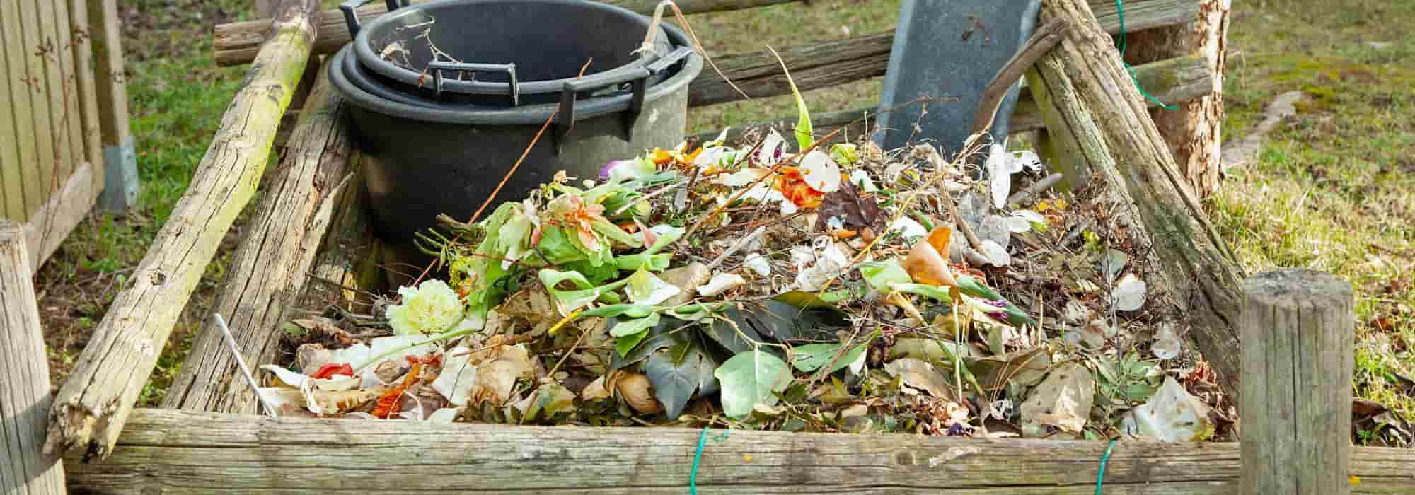 Ativadores naturais de composto: quando e como utilizá-los?