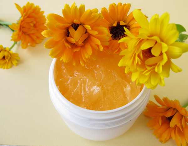 Como fazer um creme de calêndula em 3 passos simples?