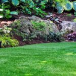 Como criar um espaço de sombra e frescura no jardim?