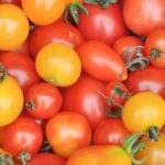 Como escolher os seus tomates-cereja ou tomates-cocktail?