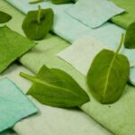 Tingimento vegetal: como fazer um tingimento natural com plantas do jardim?