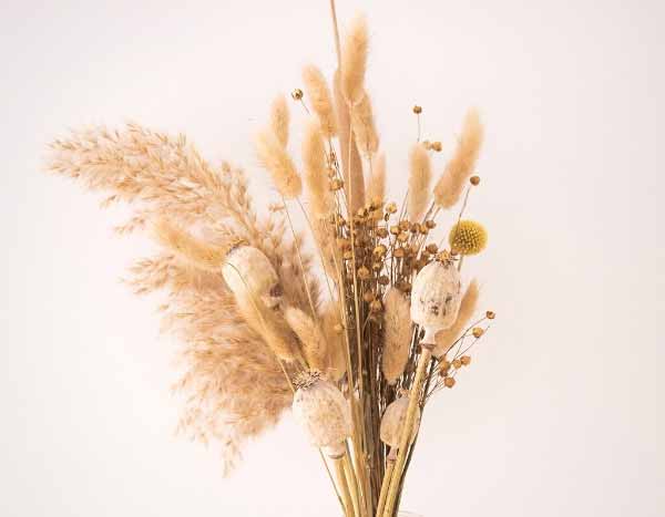 Como secar gramíneas para compor um ramo de flores seco?