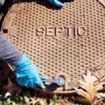 Que plantas evitar perto de uma fossa séptica?