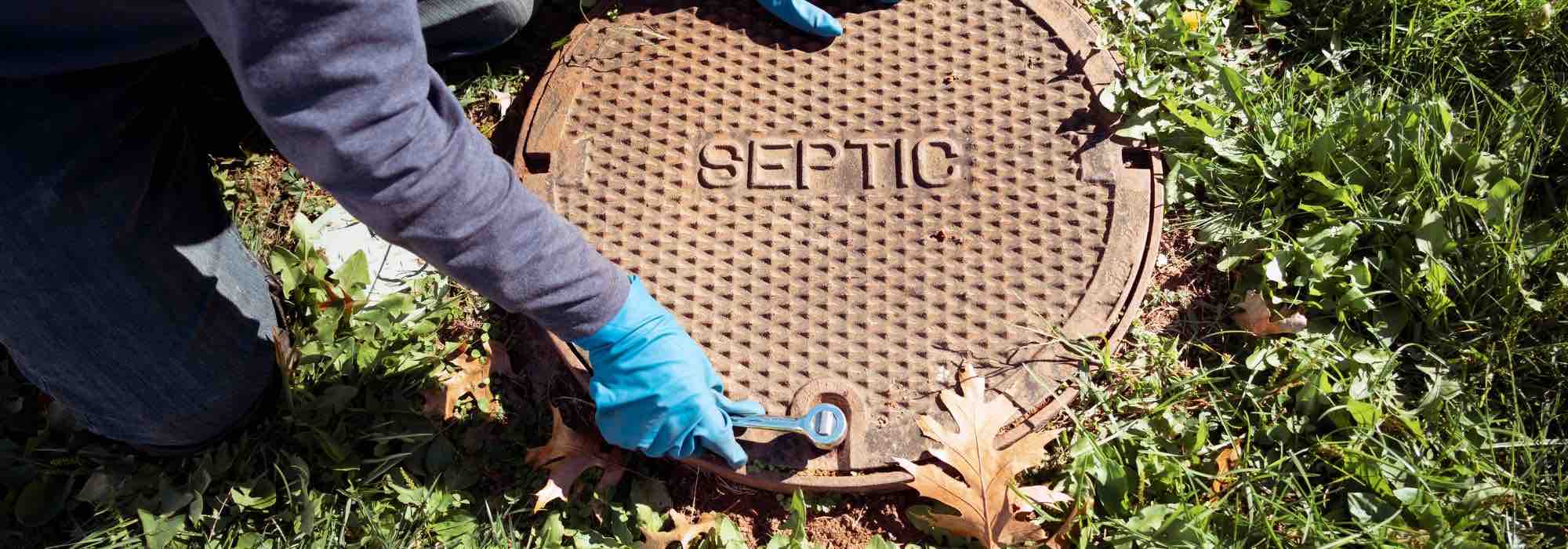 Que plantas evitar perto de uma fossa séptica?
