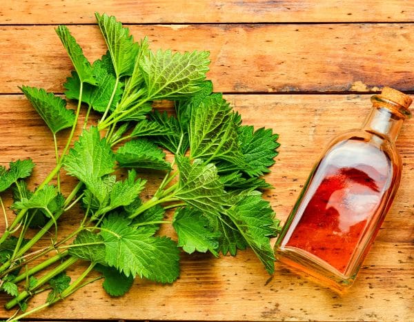 Como preparar uma loção de plantas para ter um cabelo brilhante?