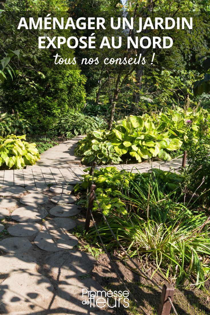 Conselhos, dicas e ideias para um jardim à sombra