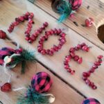 Oh oh oh! Como criar uma decoração de Natal natural com cinorródios?