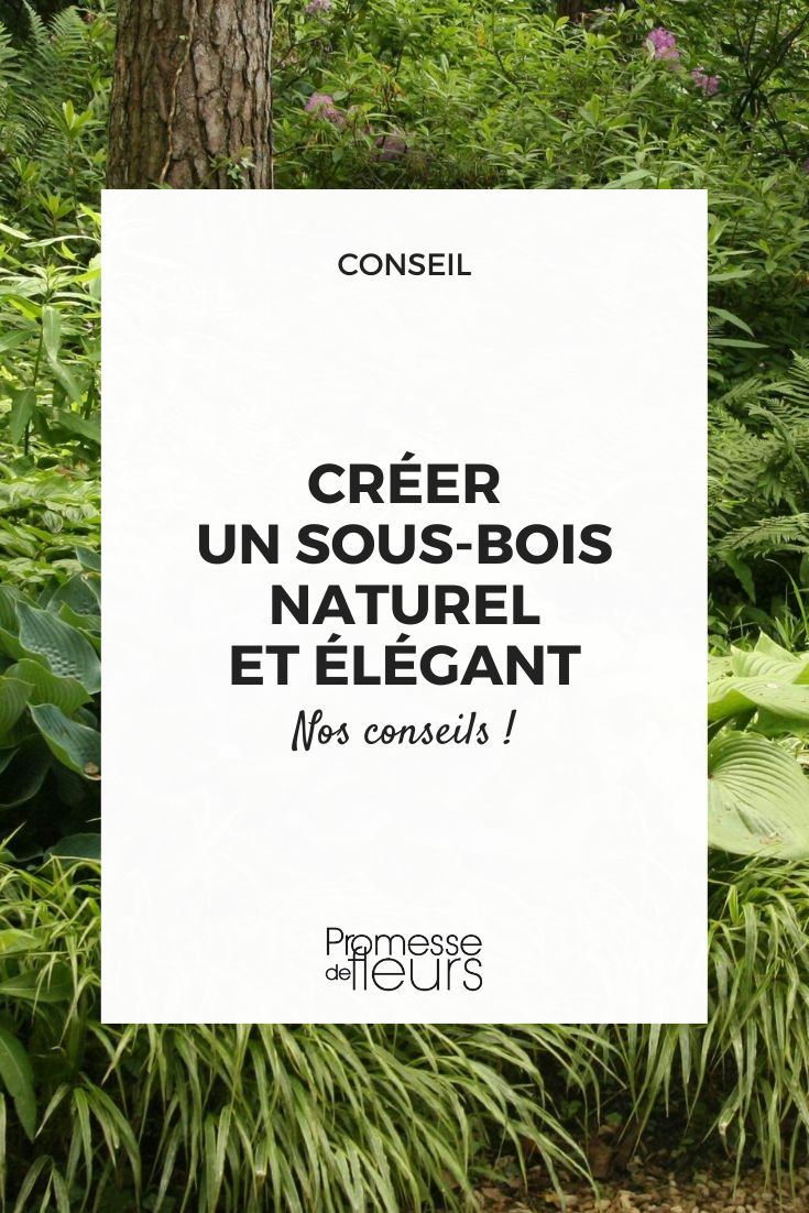 Os nossos conselhos e inspirações para criar um sub-bosque de sonho