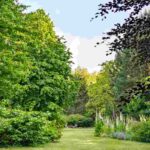 7 árvores económicas para criar o seu jardim gastando pouco