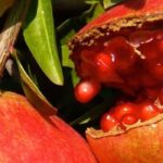 Porque é que a minha romãzeira não dá frutos?