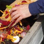 Como criar um jardim ecológico?