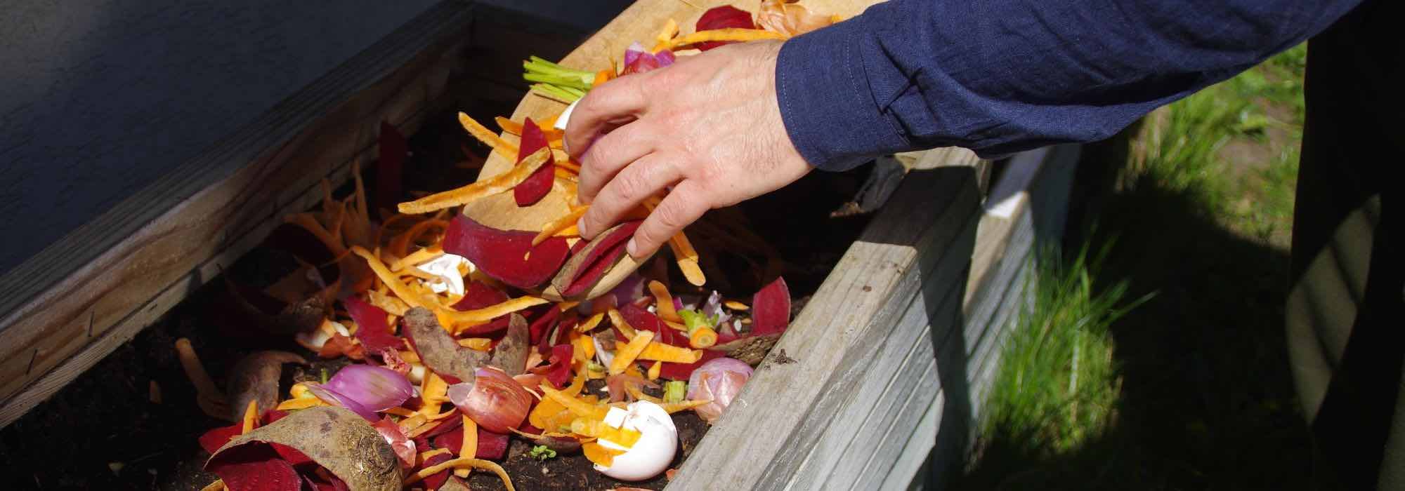 Como criar um jardim ecológico?