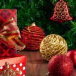 Ideias de presentes de Natal ecológicos: ofereça plantas para o jardim!