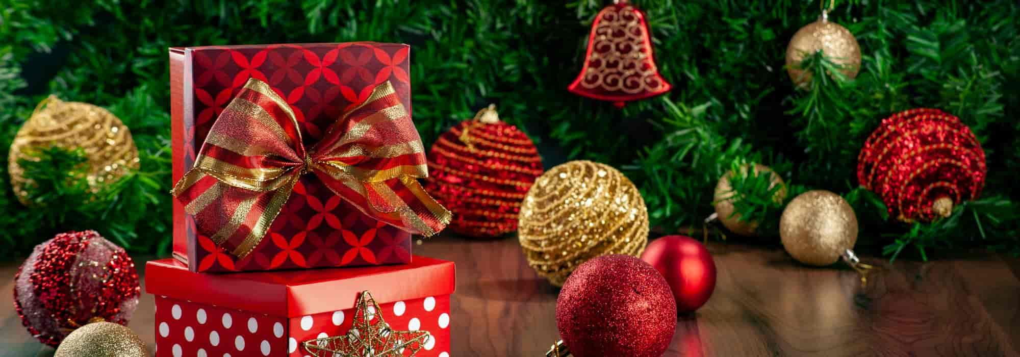 Ideias de presentes de Natal ecológicos: ofereça plantas para o jardim!