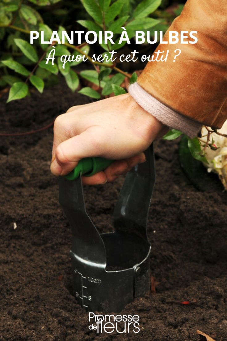 ferramenta para plantar bolbos