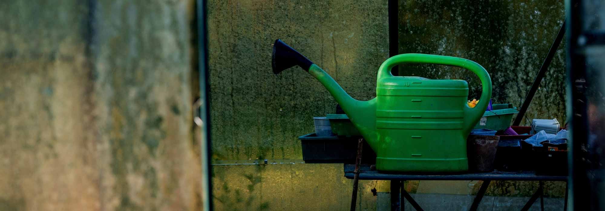 Como regar a estufa no inverno?