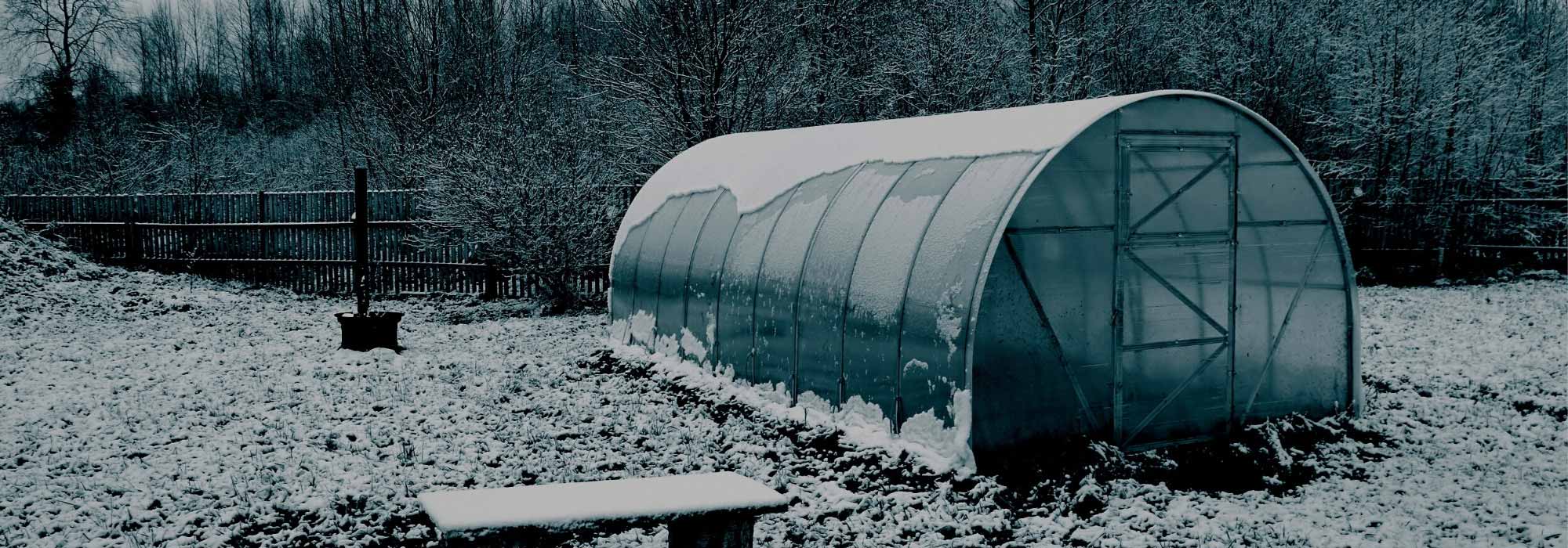 Cultivo em estufa no inverno: vantagens e conselhos práticos