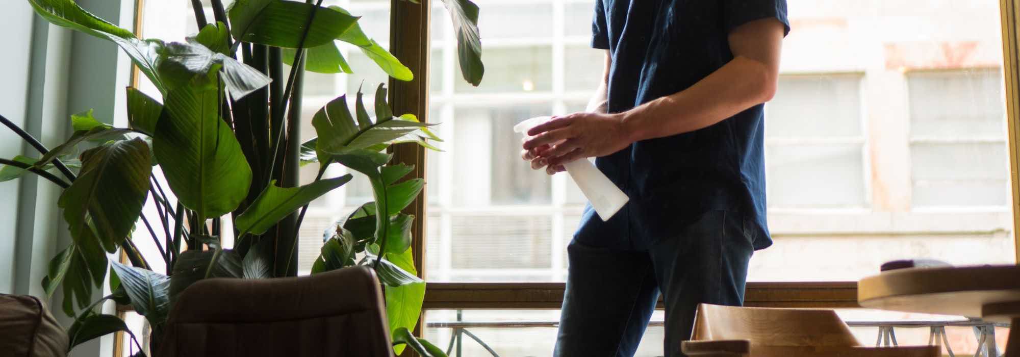 Borrifar as plantas de interior